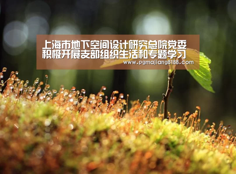 PG麻将手机版下载