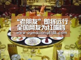 PG娱乐中心
