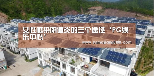 PG麻将手机版下载