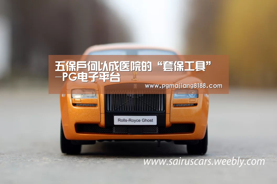 PG麻将登录入口