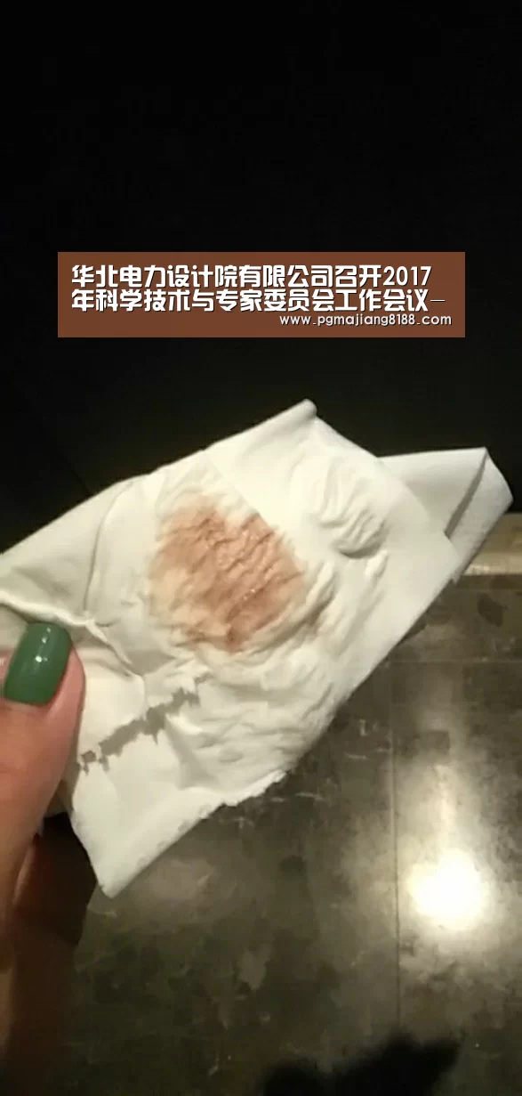 华北电力设计院有限公司召开2017年科学技术与专家委员会工作会议-PG麻将手机版下载(图1) PG麻将登录入口