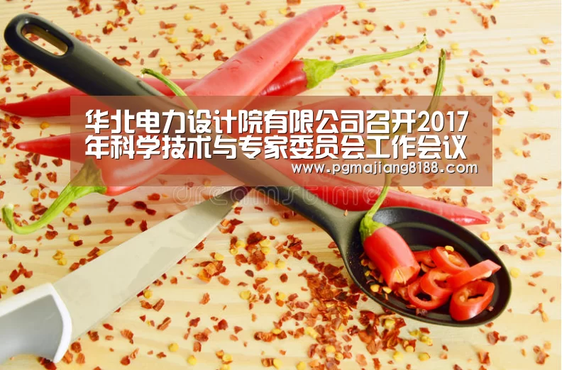 华北电力设计院有限公司召开2017年科学技术与专家委员会工作会议-PG麻将手机版下载(图3) PG电子平台