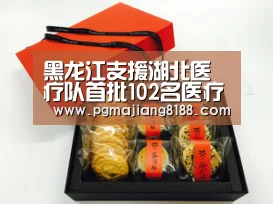 黑龙江支援湖北医疗队首批102名医疗队队员返哈【PG娱乐中心】(图2) PG娱乐中心