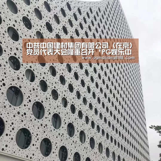 中共中国建材集团有限公司(在京)党员代表大会隆重召开‘PG娱乐中心’(图3) PG麻将手机版下载