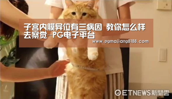 子宫内膜异位有三病因 教你怎么样去察觉-PG电子平台(图2) PG麻将登录入口