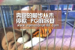 PG麻将手机版下载
