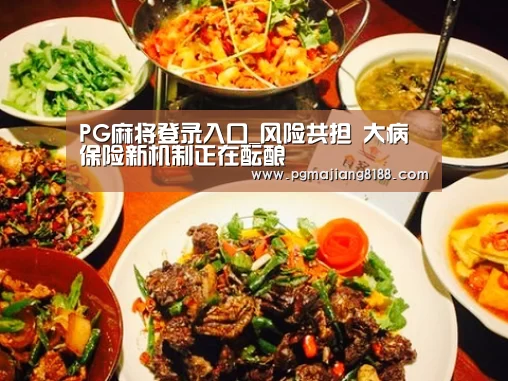 PG麻将登录入口_风险共担 大病保险新机制正在酝酿(图2) PG电子平台