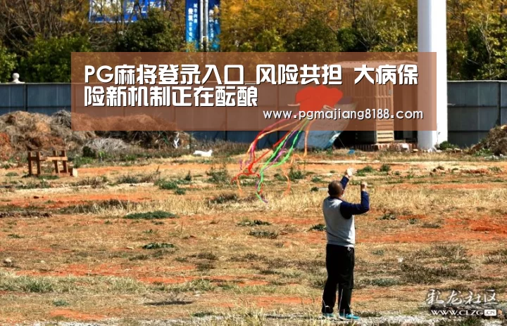 PG麻将登录入口_风险共担 大病保险新机制正在酝酿(图1) PG娱乐中心